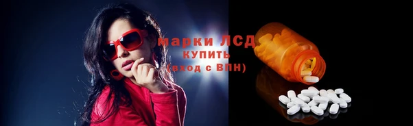 крисы Аркадак