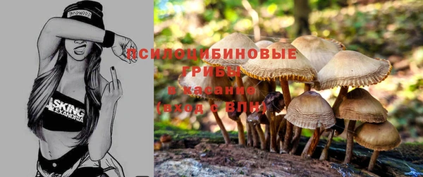 МДМА Арсеньев