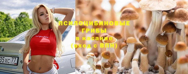 МДМА Арсеньев